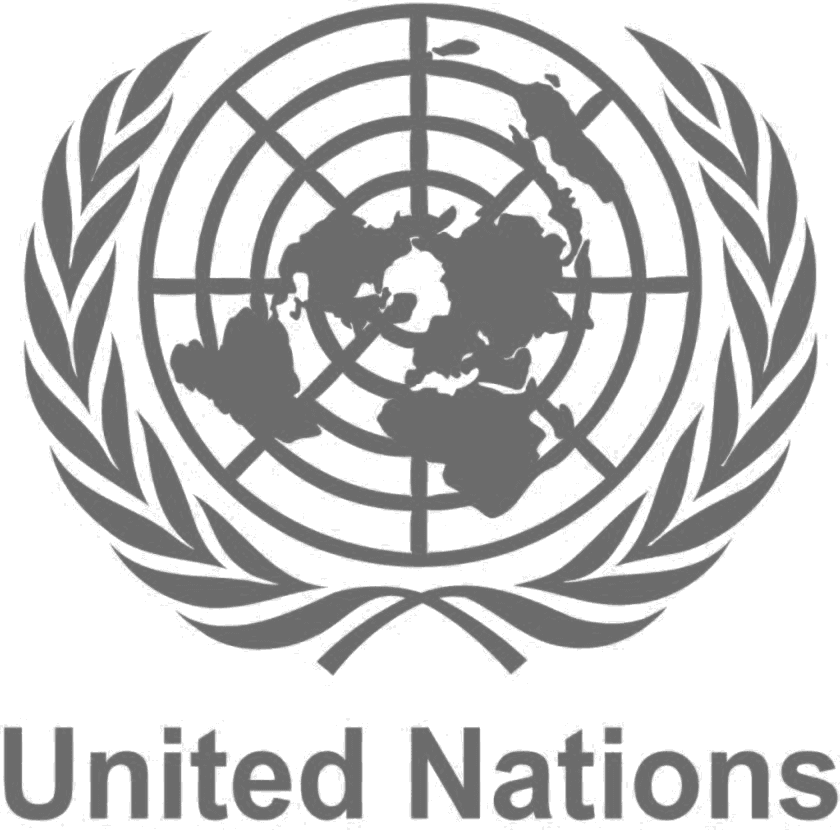 National Model United Nations (NMUN)